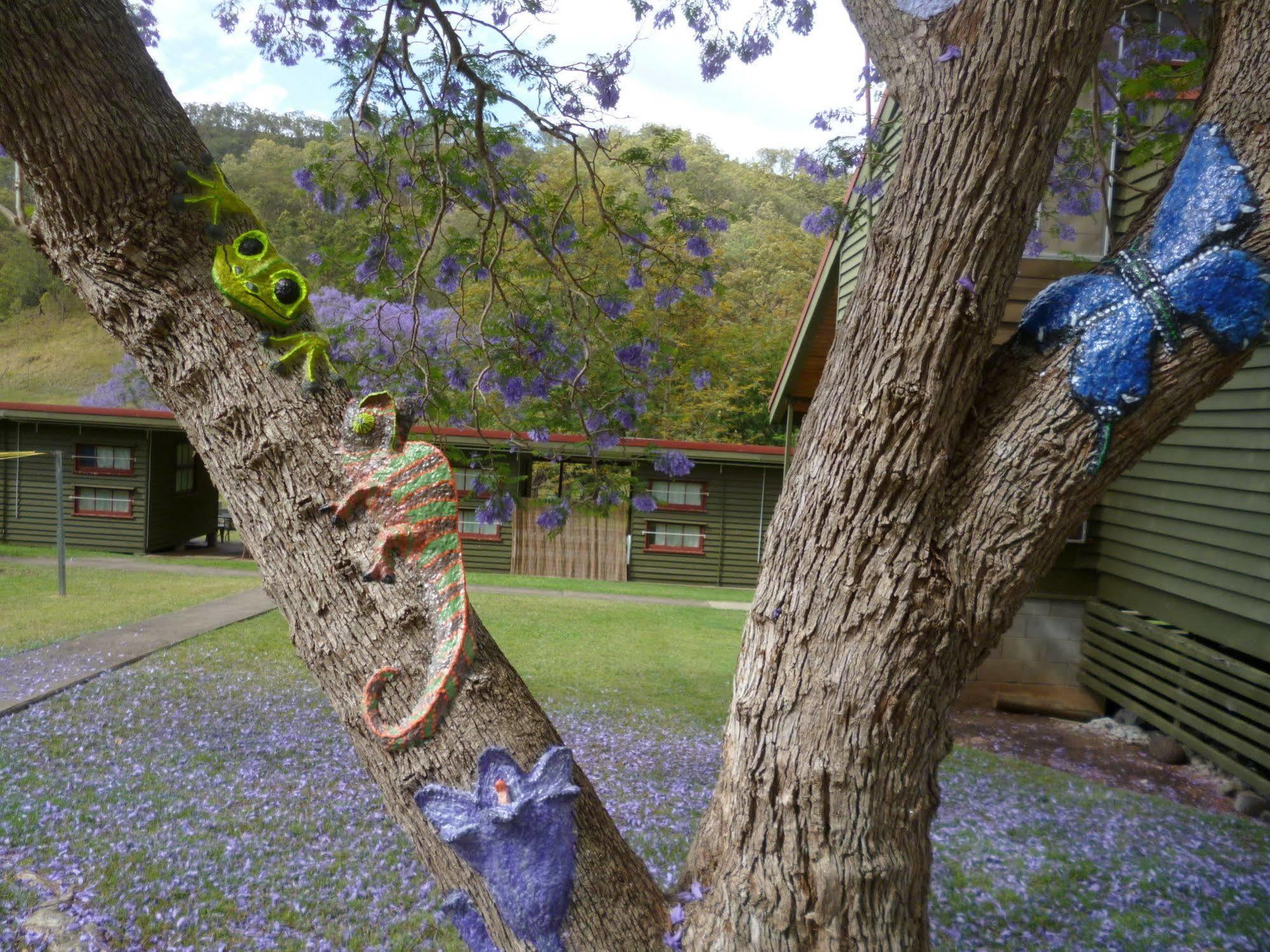 Lamington Christmas Creek Cafe & Cabins מראה חיצוני תמונה