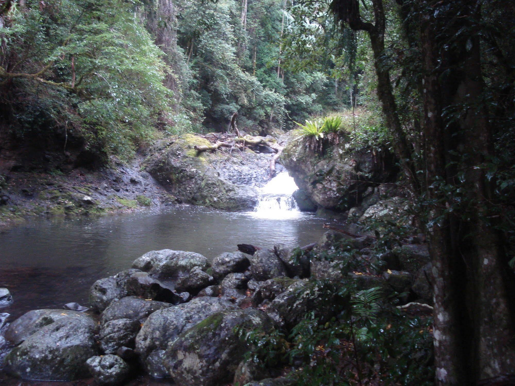 Lamington Christmas Creek Cafe & Cabins מראה חיצוני תמונה